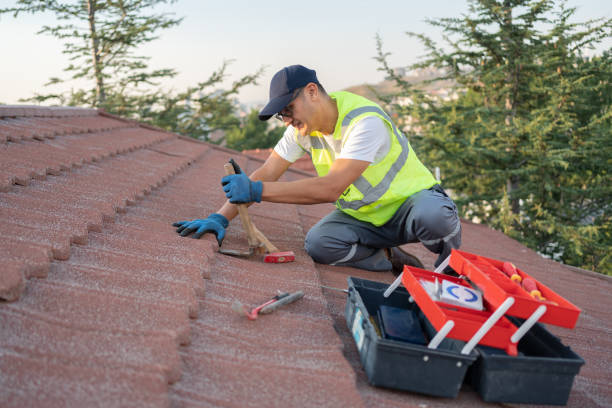 Professional Roofing Contractor in Palmer Heights, PA